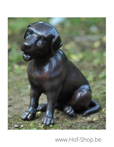 Petit labrador - statue en bronze (GA0678BR-B)