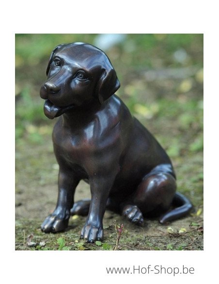 Petit labrador - statue en bronze (GA0678BR-B)