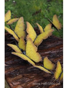 Zwerm vlinders - bronzen beeld (HW1934BR-HP)