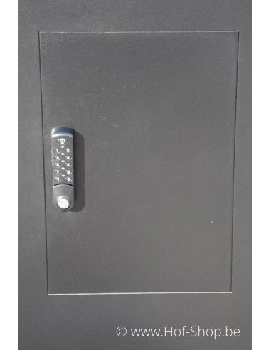 TOONZAALMODEL Carré Collibox gelakt - Arduo pakketbus inox