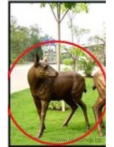 Cerf femelle - statue en bronze (B837-1)