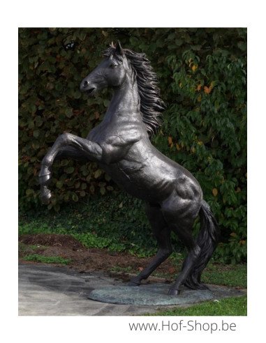 Cheval d'élevage - sculpture en bronze (B910R)