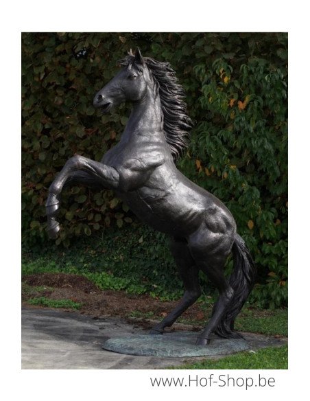 Cheval d'élevage - sculpture en bronze (B910R)