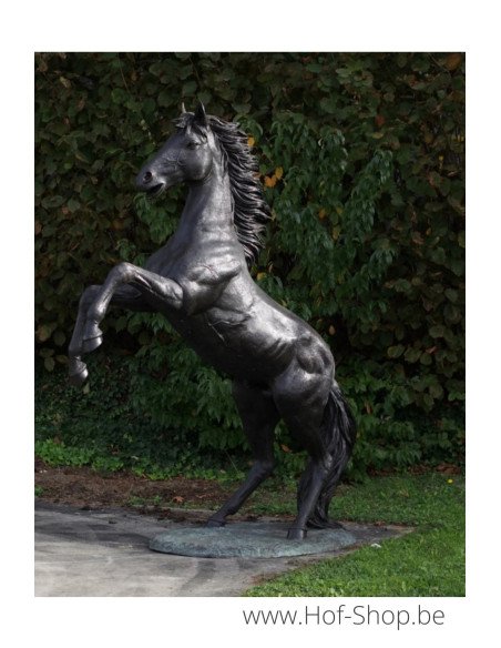 Cheval d'élevage - sculpture en bronze (B910R)
