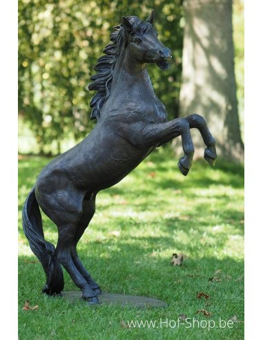 Cheval d'élevage - sculpture en bronze (B1096)