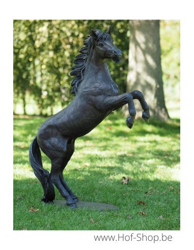 Cheval d'élevage - sculpture en bronze (B1096)