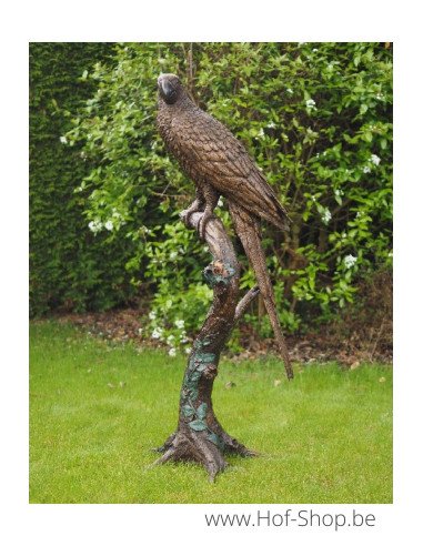 Perroquet sur un tronc d'arbre - statue en bronze (B1147)