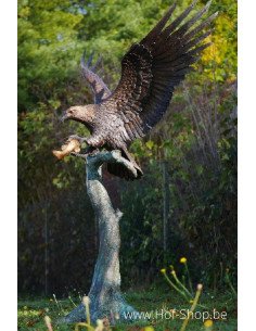 Aigle sur tronc d'arbre - statue en bronze (B1243)