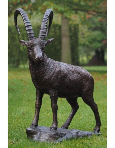 Staande steenbok - bronzen beeld (B1276)