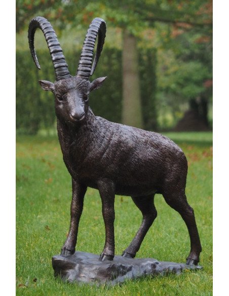 Staande steenbok - bronzen beeld (B1276)