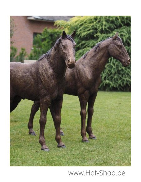 Couple de Chevaux - sculpture en bronze (B1309)