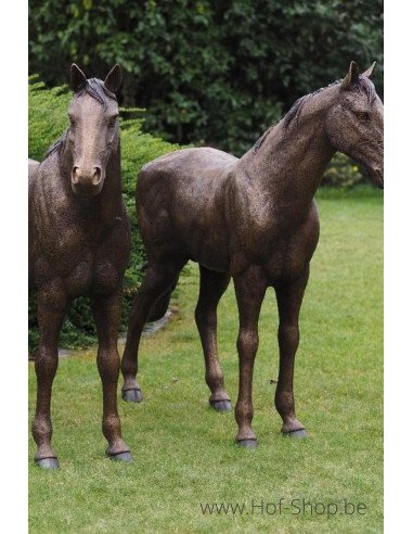 Koppel paarden - bronzen beeld (B1309)
