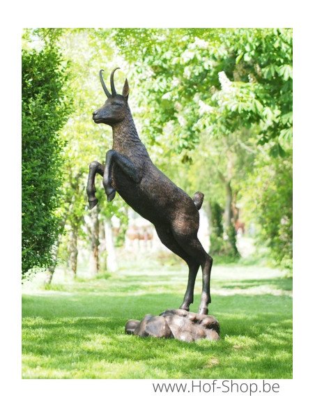 Chamois - sculpture en bronze (B1333)