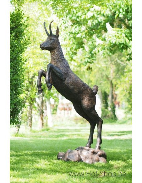 Chamois - sculpture en bronze (B1333)