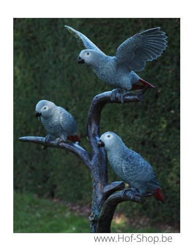 3 perroquets gris à queue rouge - statue en bronze (B1375)