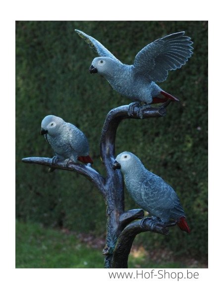 3 perroquets gris à queue rouge - statue en bronze (B1375)