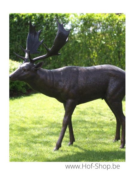 Daim - statue en bronze (B1408)