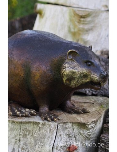 Bever - bronzen beeld (B18062)