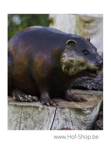 Castor - statue en bronze (B18062)