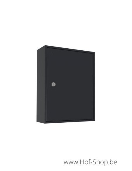 Boxis 542/505 (40 x 31 x 12 cm) - brievenbus aluminium