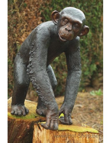 Chimpanzé - bronzen beeld (B59265)