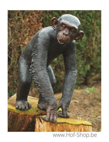 Chimpanzé - bronzen beeld (B59265)