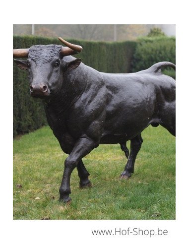 Grote stier - bronzen beeld (B76345)