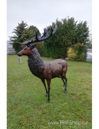 Groot hert - bronzen beeld (PB61071)