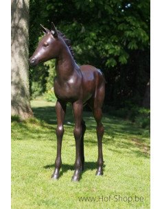 Veulen - bronzen beeld (PB61081)