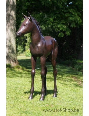 Veulen - bronzen beeld (PB61081)