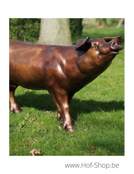 Varken - bronzen beeld (PB61083-1)