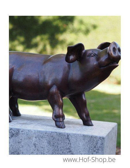 Biggetje - bronzen beeld (PB61083-3)