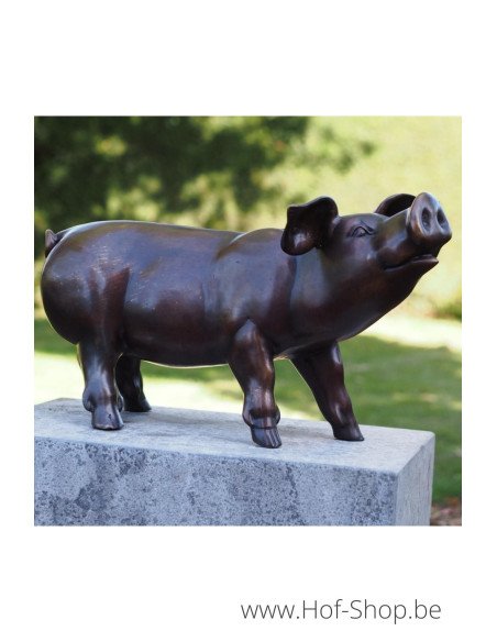 Biggetje - bronzen beeld (PB61083-3)