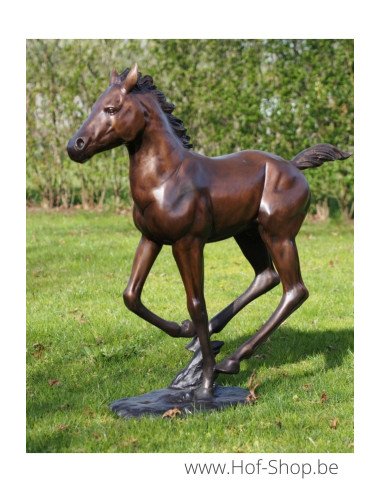 Lopend veulen - bronzen beeld (PB61165)