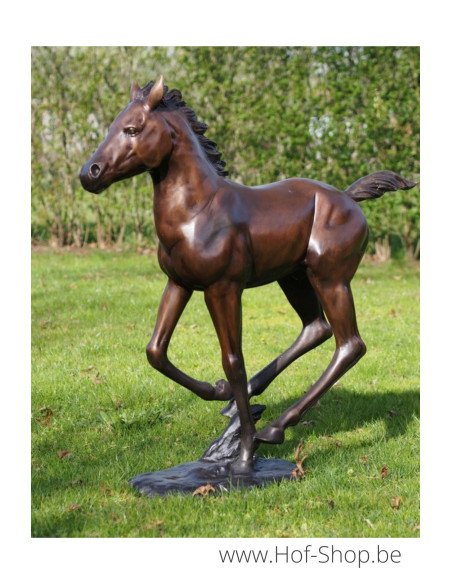 Lopend veulen - bronzen beeld (PB61165)