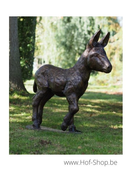 Poulain âne - statue en bronze (PB61192-3)