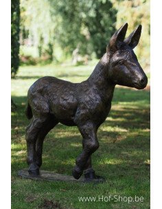 Poulain âne - statue en bronze (PB61192-3)