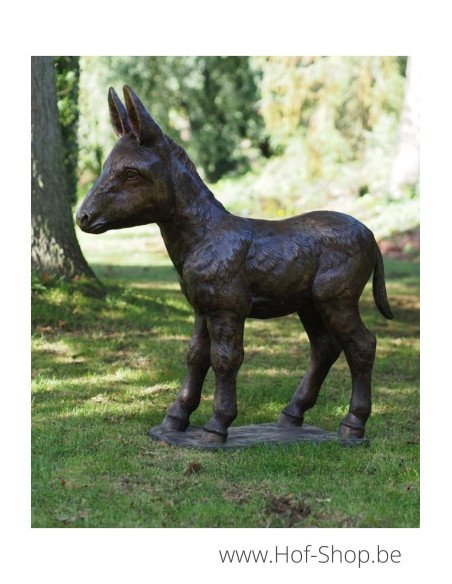 Poulain âne - statue en bronze (PB61192-4)