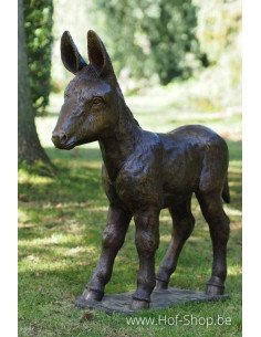 Ezel veulen - bronzen beeld (PB61192-4)