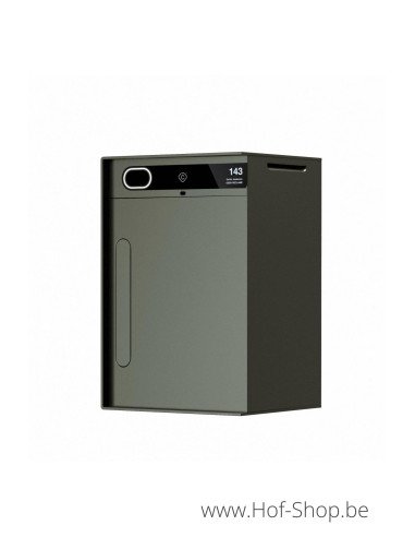 Custo 1s RAL 6015 - boîte à colis intelligente en aluminium