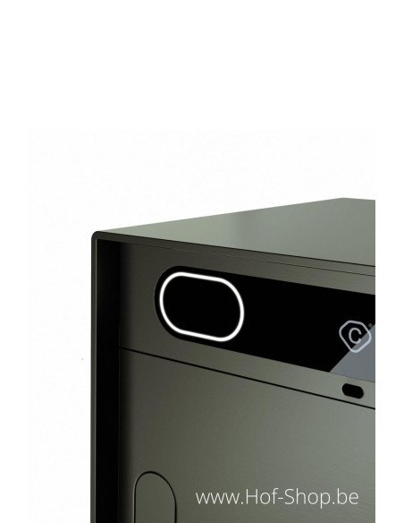 Custo 1s RAL 6015 - boîte à colis intelligente en aluminium