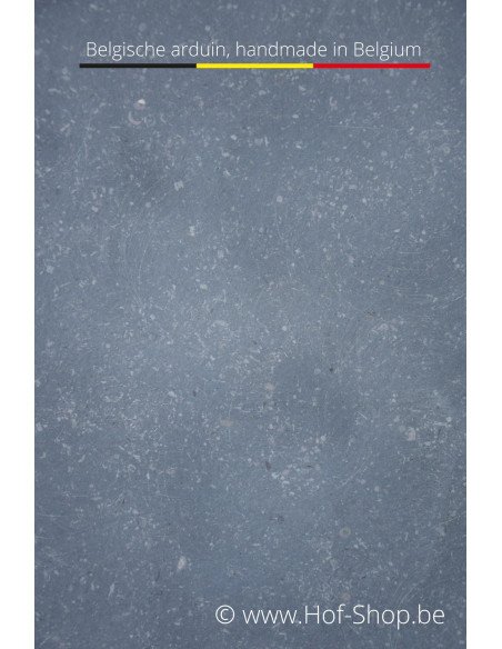 Cobox 16 - pakketbus arduin