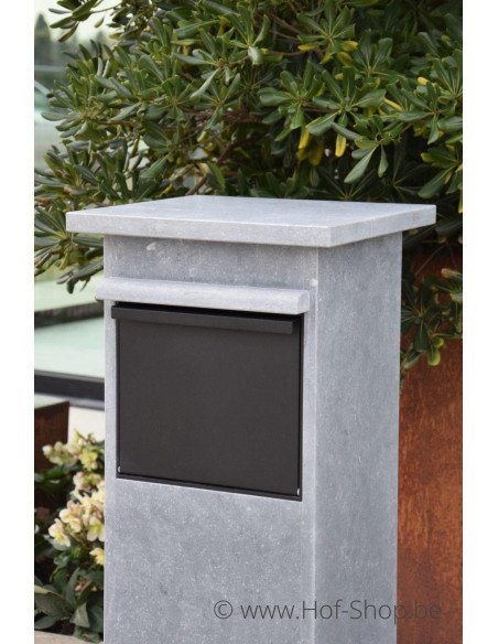 Cobox 5 - pakketbus arduin