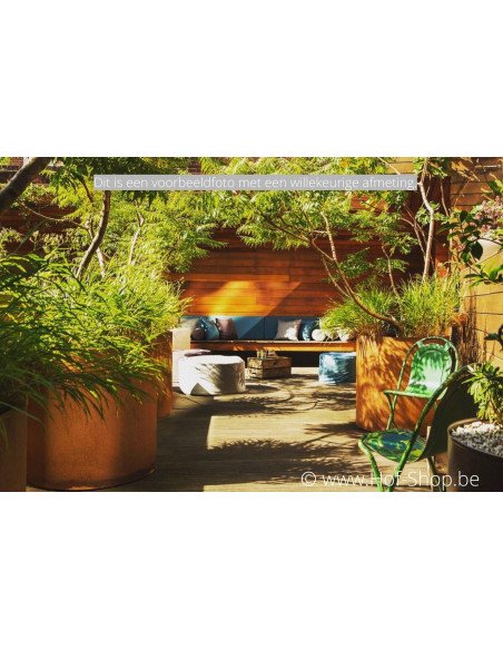 Circum 120 x 60 cm - Jardinière Adezz en acier Corten