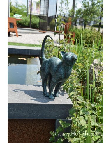 Kat - bronzen beeld (AN2677BR-VI)