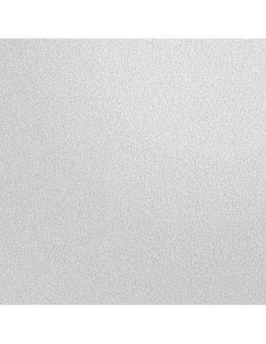 MODÈLE DE SHOWROOM Dropbox Small RAL 9006 Back Door - eSafe boîte à colis aluminium