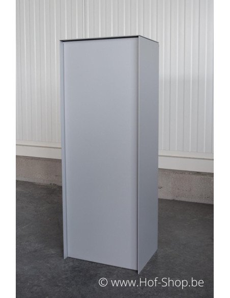 MODÈLE DE SHOWROOM Dropbox Small RAL 9006 Back Door - eSafe boîte à colis aluminium