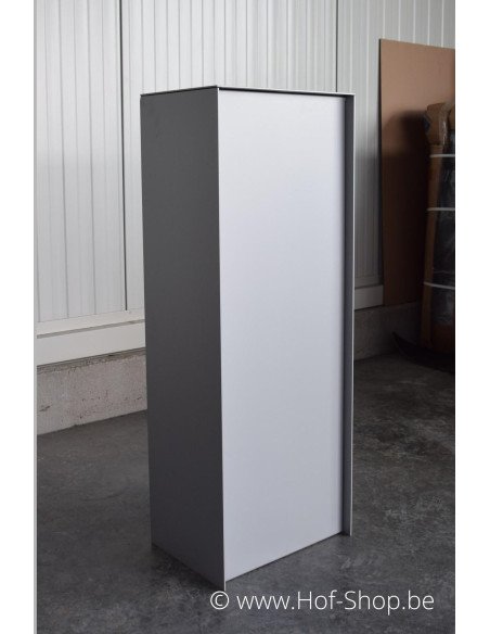 MODÈLE DE SHOWROOM Dropbox Small RAL 9006 Back Door - eSafe boîte à colis aluminium