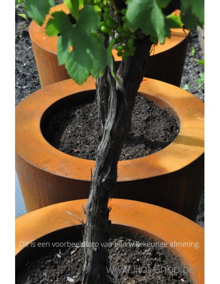 Conic 80 x 80 cm -  Jardinière Adezz en acier Corten