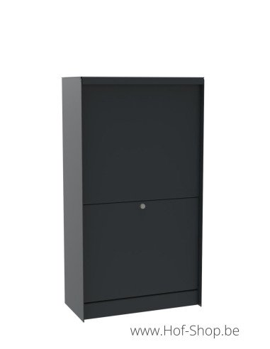 Dropbox Medium Back Door RAL 7016 - eSafe pakketbus aluminium